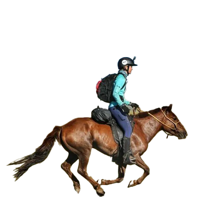 Arianna - Fast-Track Intensive Equestrian Coaching Arianna - Fast-Track Intensive Equestrian Coaching