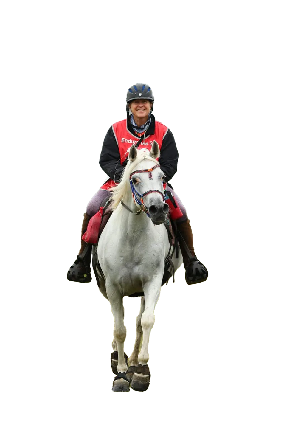 Sally Toye - Fast-Track Intensive Equestrian Coaching