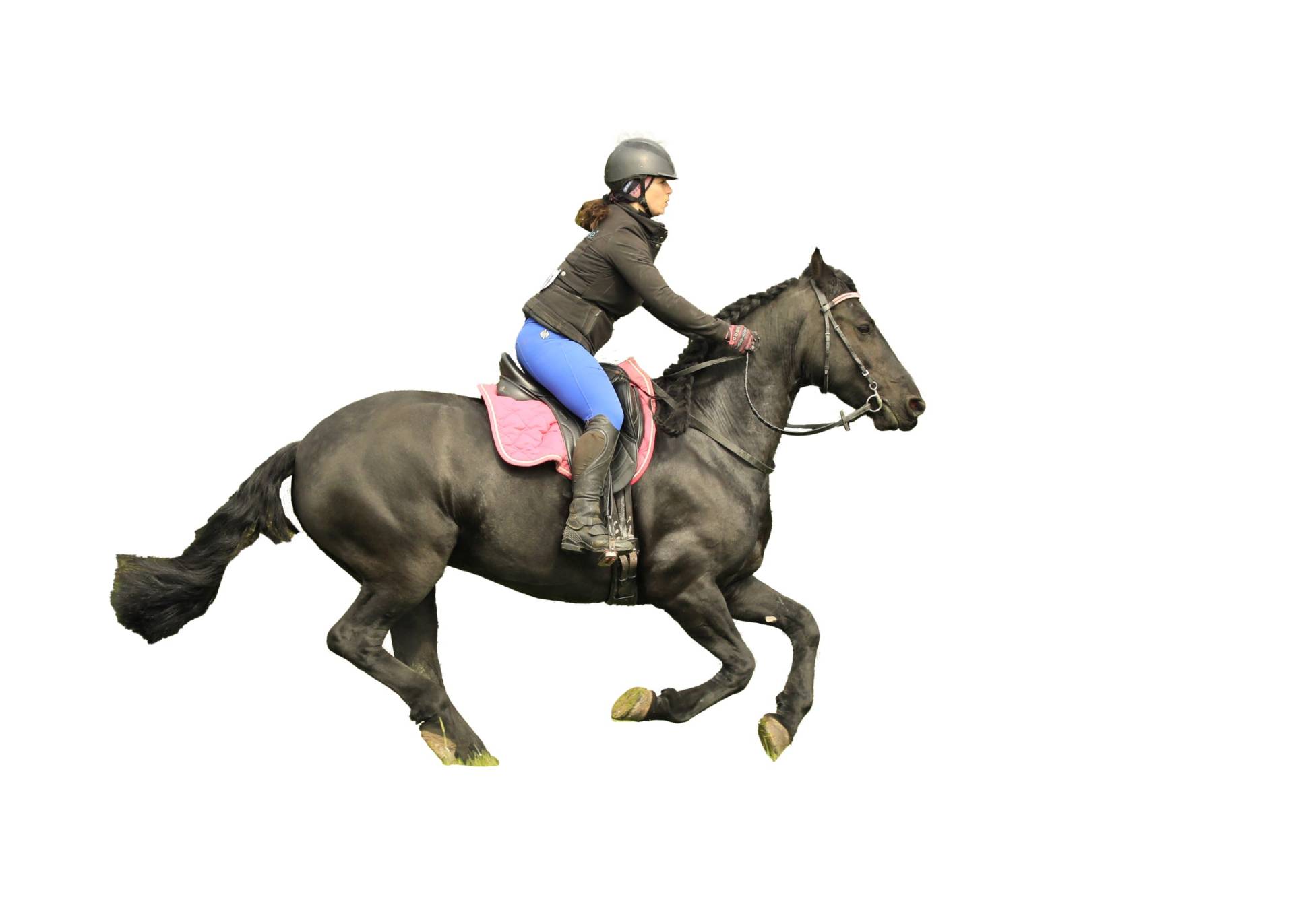 Rider Core Course Review Rider Core Course Review