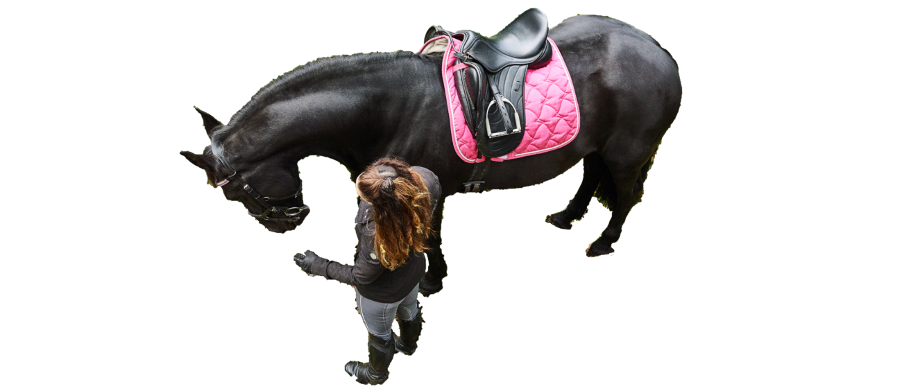 RiderCise Frequently Asked Questions
