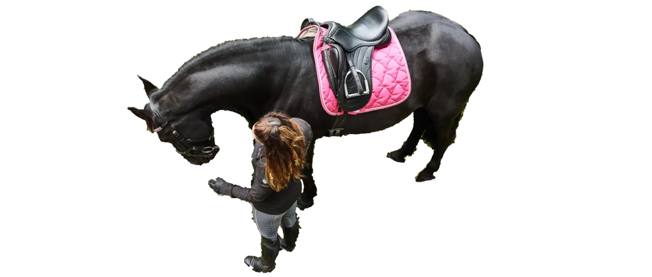 Annick and I RiderCise Frequently Asked Questions