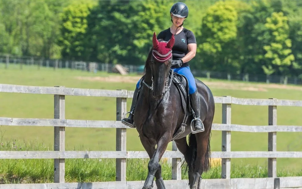 Horse Rider Performance