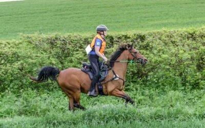 Endurance Rider Fitness