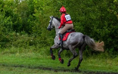 What is an Equestrian Workout