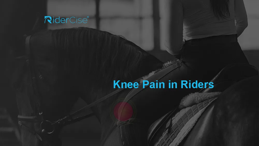 Knee Pain in Riders Web Blog Knee Pain in Riders Web Blog