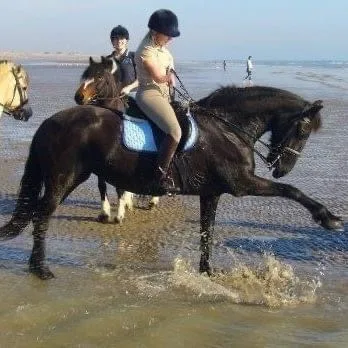 Emma Kent - Para Dressage Rider and Friesian mare Riemkje Emma Kent - Para Dressage Rider and Friesian mare Riemkje