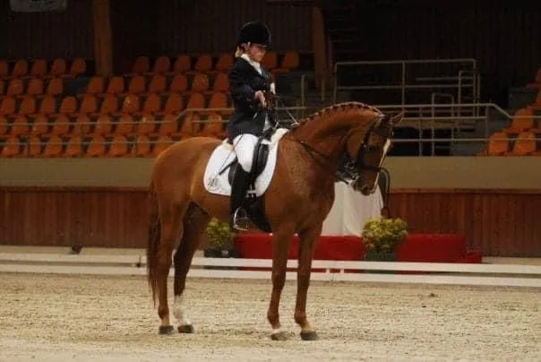 Emma Kent - Dressage Para Rider, Grade 3 and Gentle, Warmblood Gelding Emma Kent - Dressage Para Rider, Grade 3 and Gentle, Warmblood Gelding