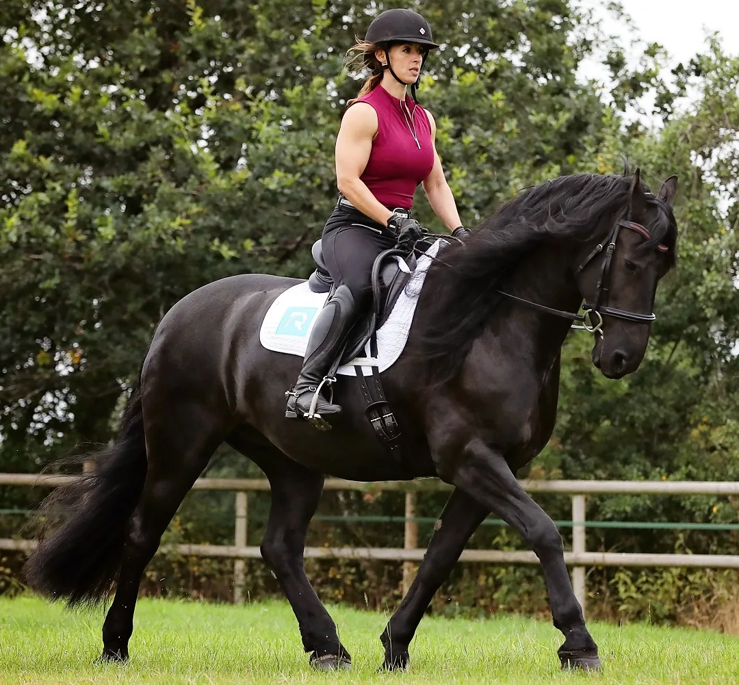 Rider Biomechanics 