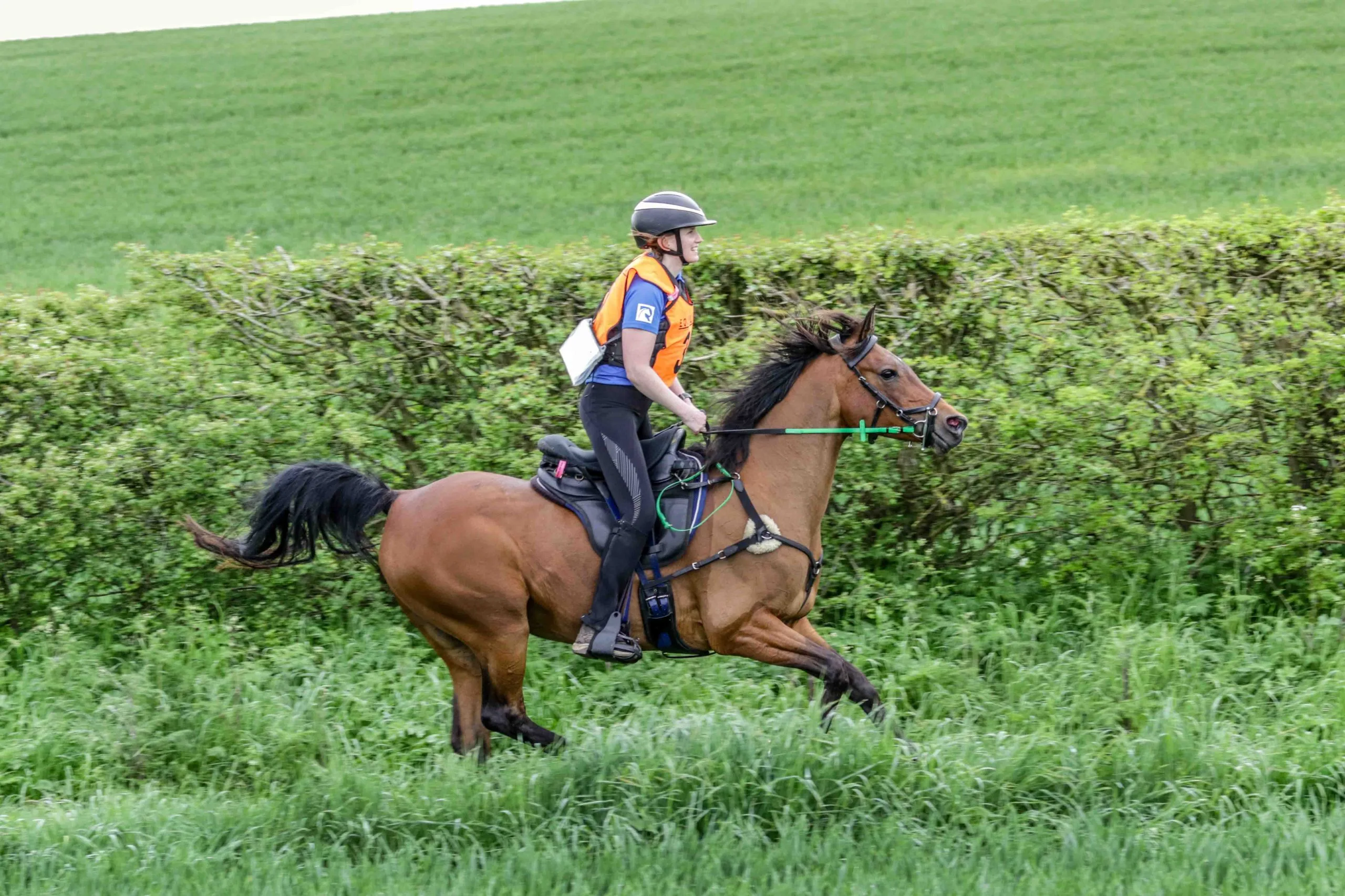 FEI 3* Endurance Rider - Laura Graham FEI 3* Endurance Rider - Laura Graham
