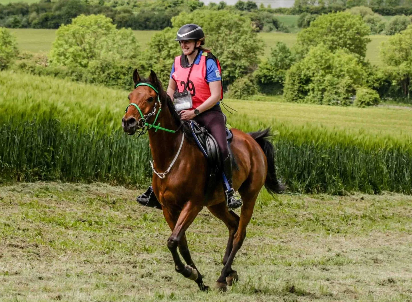 FEI 3* Laura Graham and Horse Lark FEI 3* Laura Graham and Horse Lark