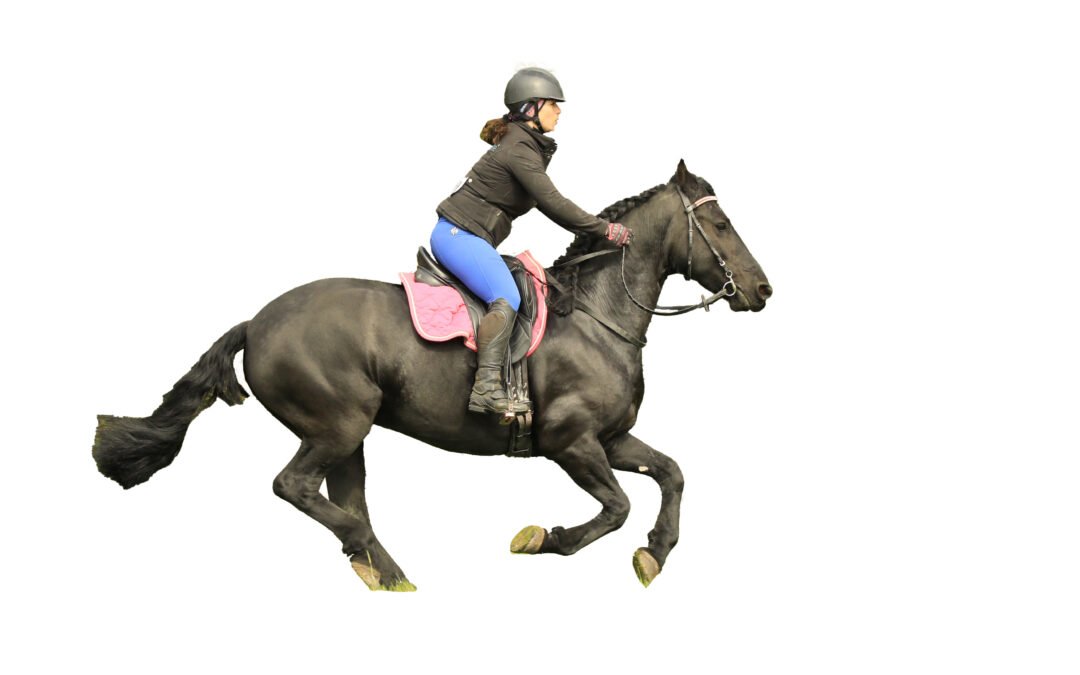 The Riders Core: Part 1