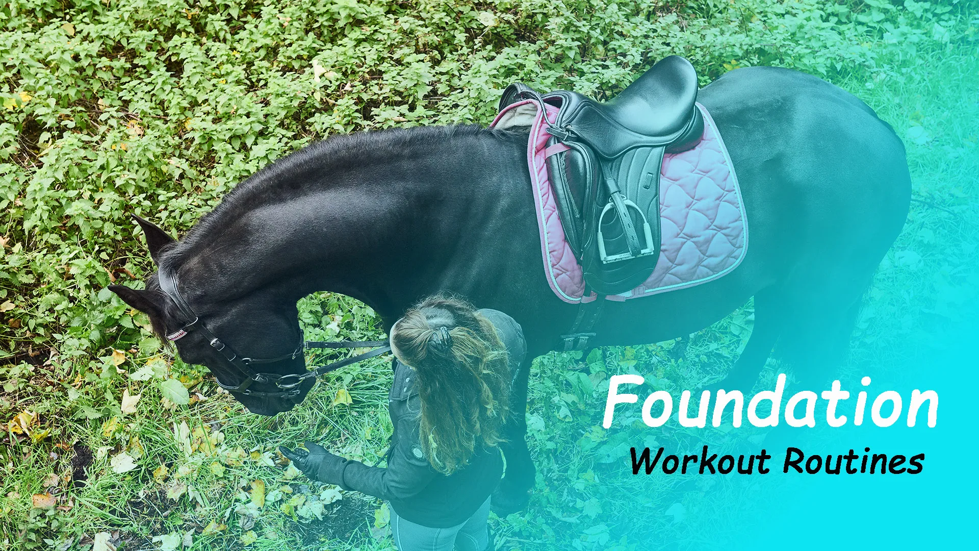 Foundation Workout Routines