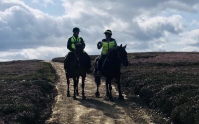 Rekindling a Love of Riding