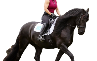 Postural Bundle Checkout Confirmation Page