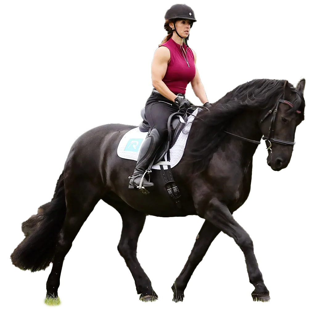 ROSE0429 - Transparent Divi-Image-Hover-Hero-Image-1-1