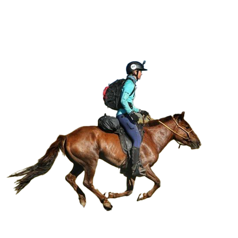 Arianna - Fast-Track Intensive Equestrian Coaching