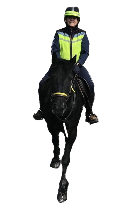 Hele - Fast-Track Intensive Equestrian Coaching