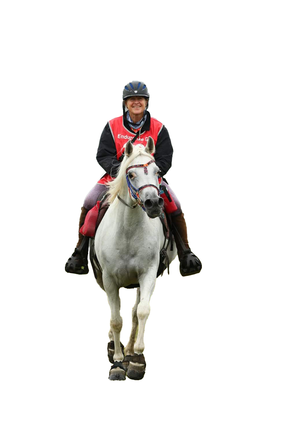Sally Toye - Fast-Track Intensive Equestrian Coaching