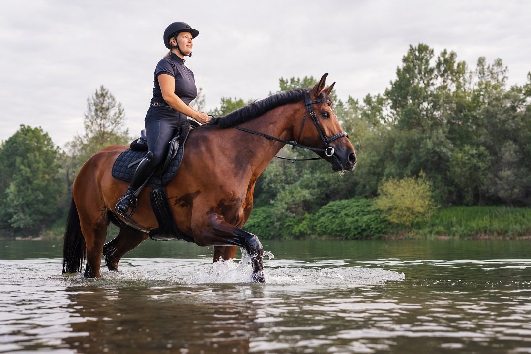 Bespoke Rider Fitness Program