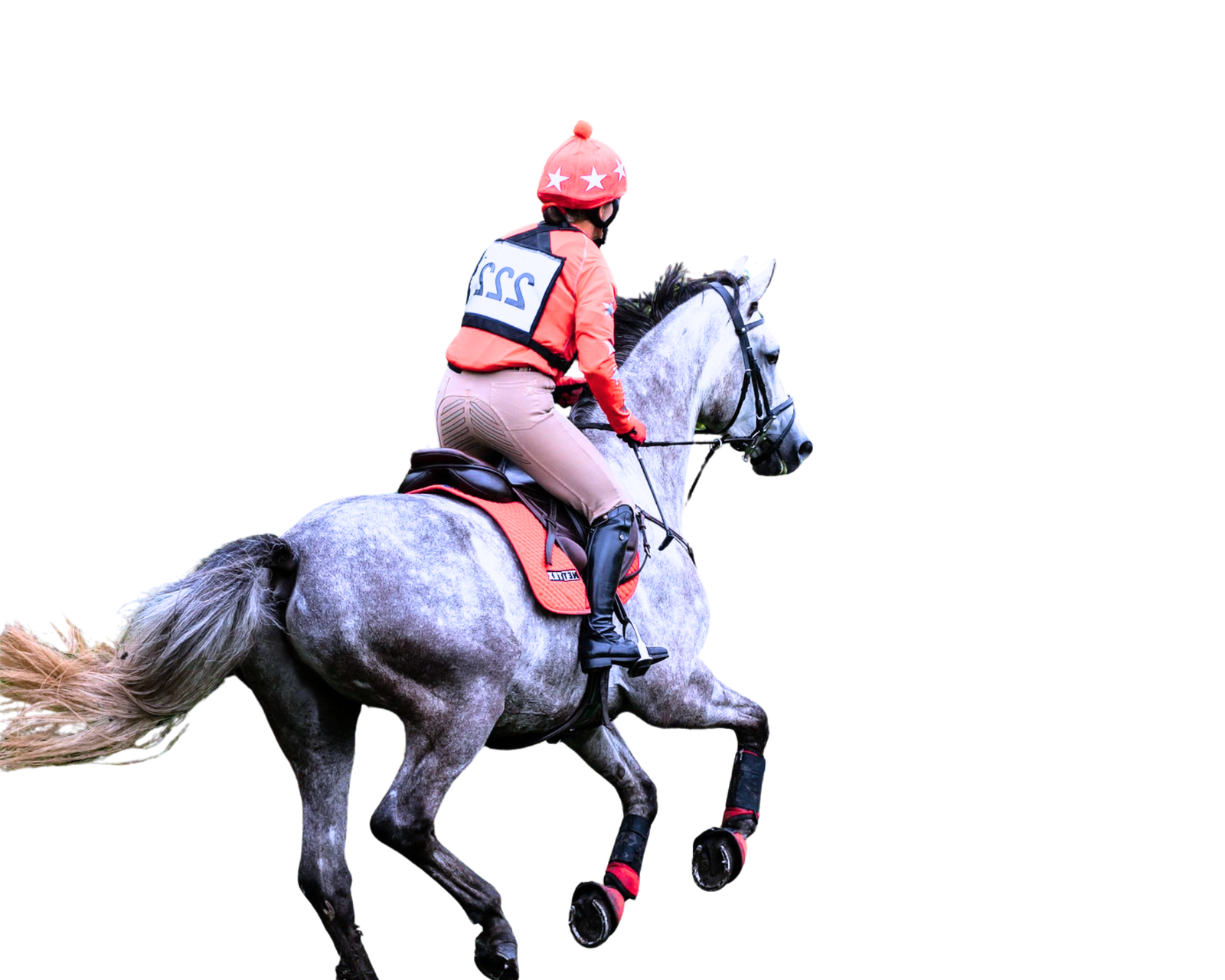 Rider Fitness Programs