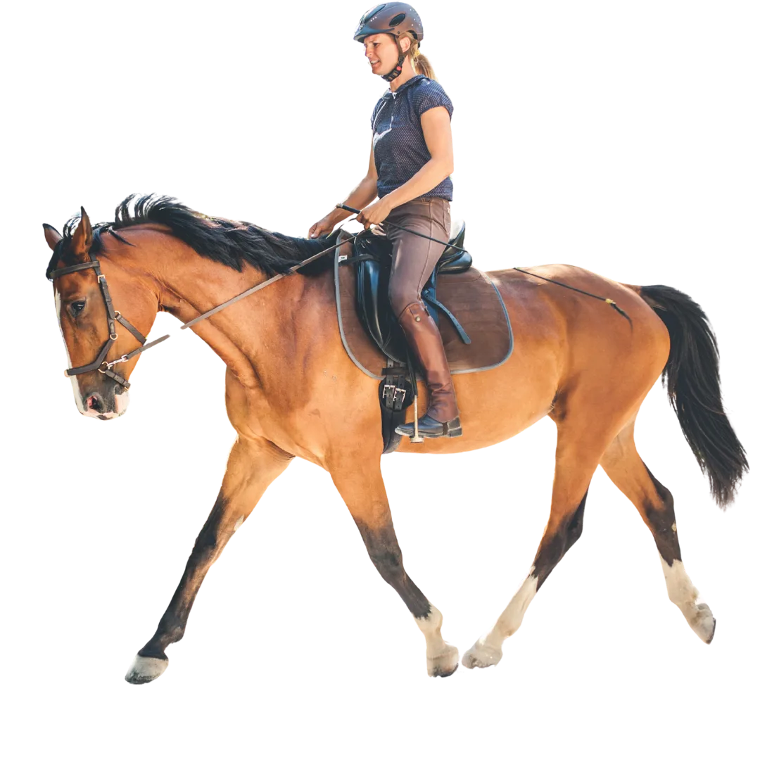 Balanced Rider Rider Fitness Programs