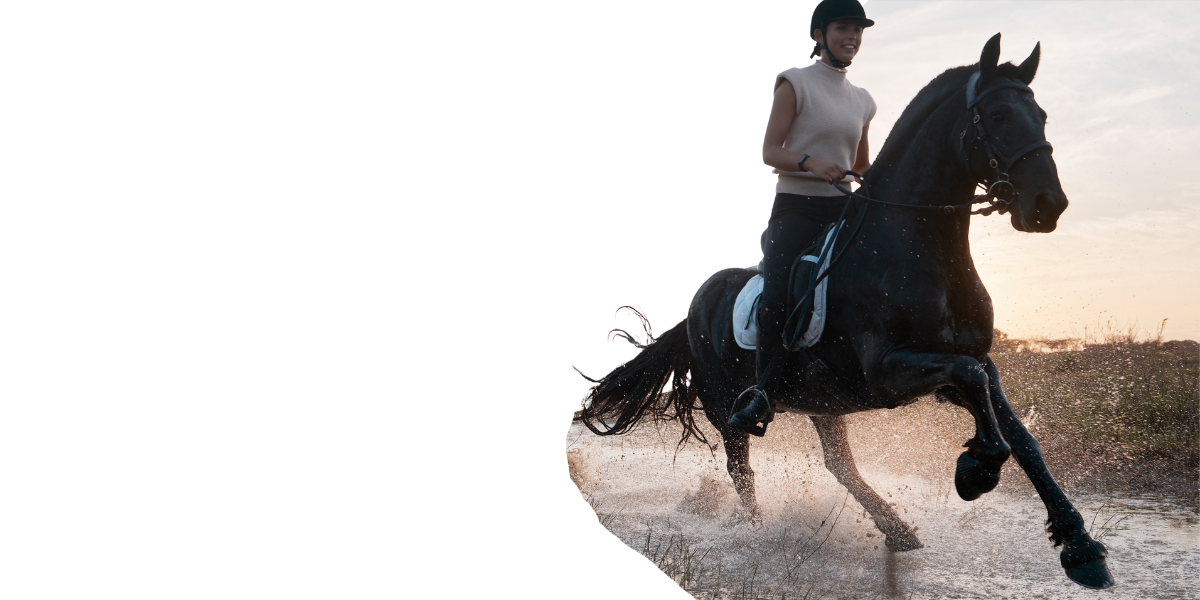Online Equestrian Fitness  Programs