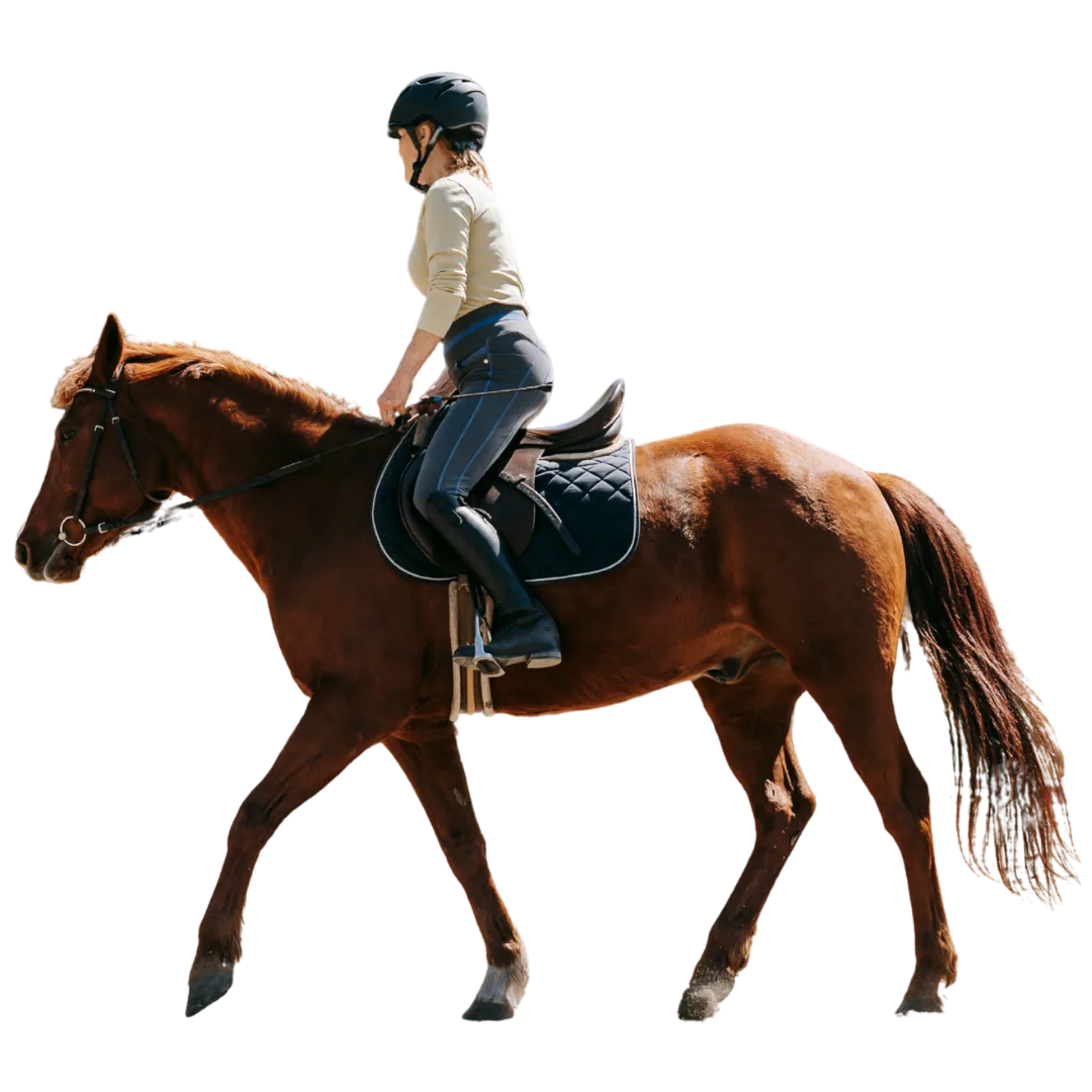 Rider Tilting